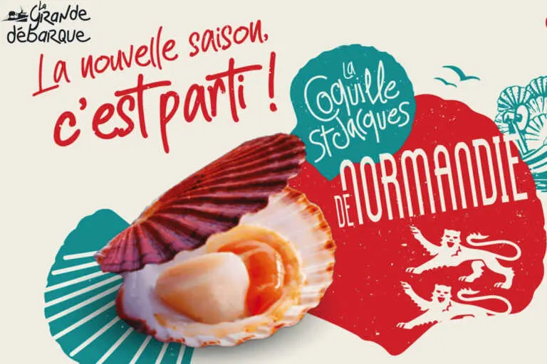 Normandie la coquille Saint Jacques