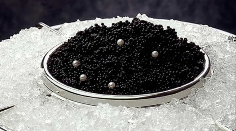 Caviar dans une assiette sur de la glace