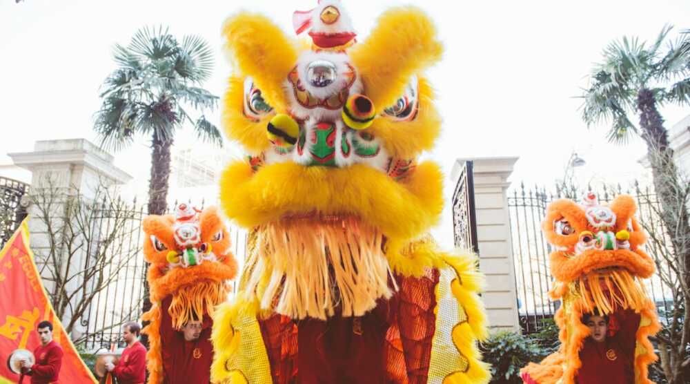 Nouvel an chinois La danse des lions 
