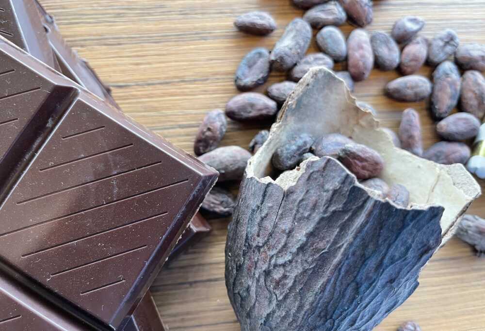 Brive-la-gaillarde chocolat