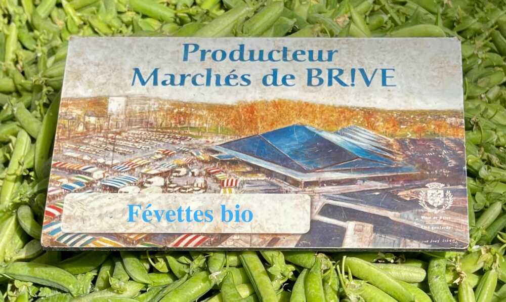 Brive-la-gaillarde févettes