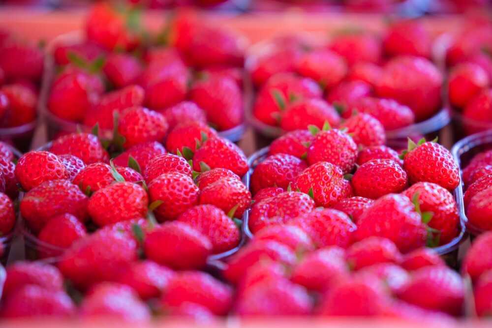 Brive-la-gaillarde fraises