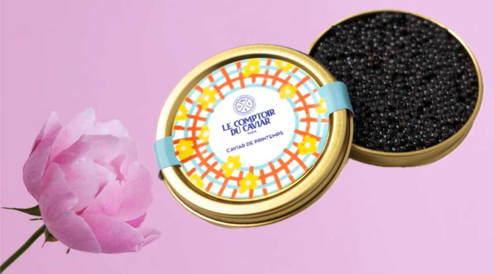 Comptoir du Caviar boîte