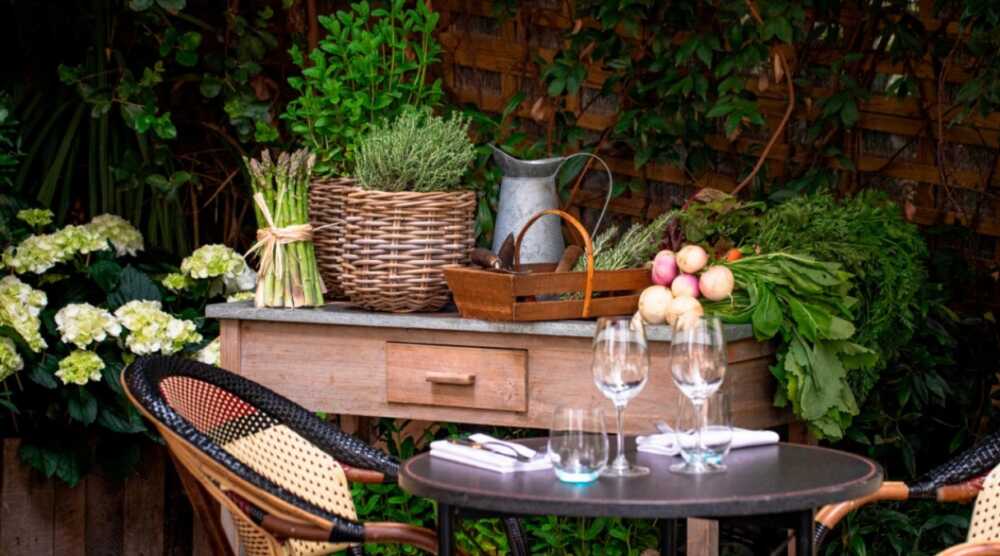 Terrasse et produits du terroir