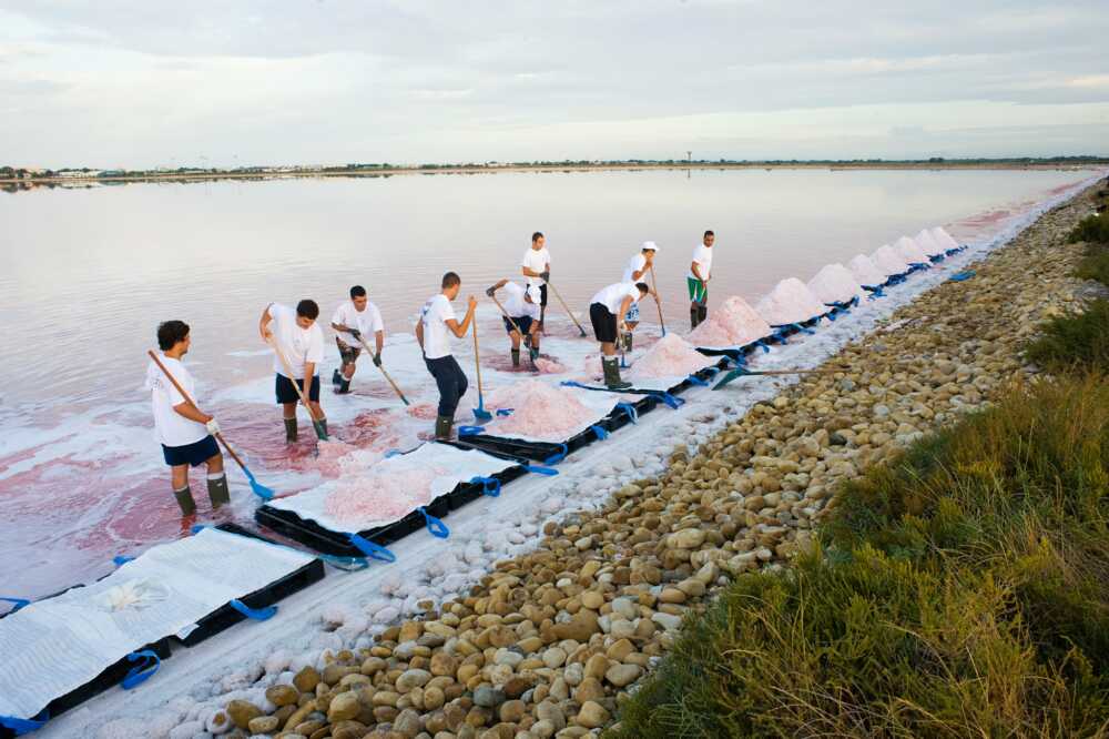 Salin d’Aigues-Mortes saulniers