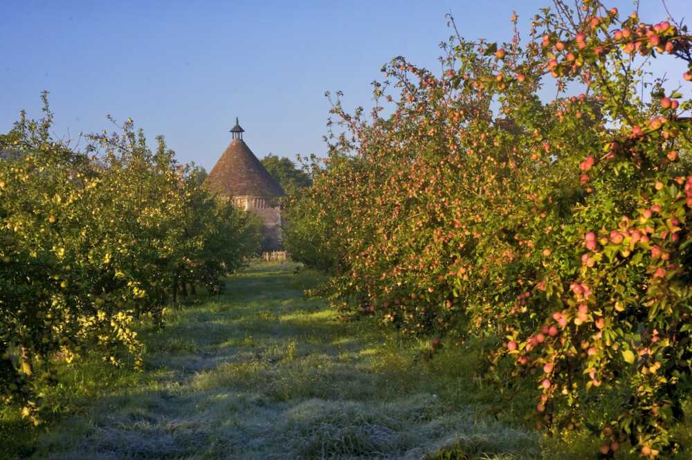 cidres de France verger