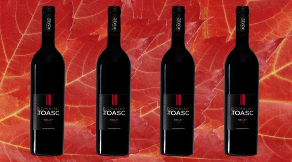 Domaine de Toasc rouge 2020