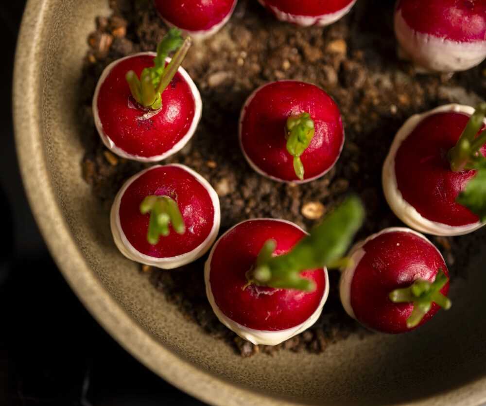 Maison Blossom radis