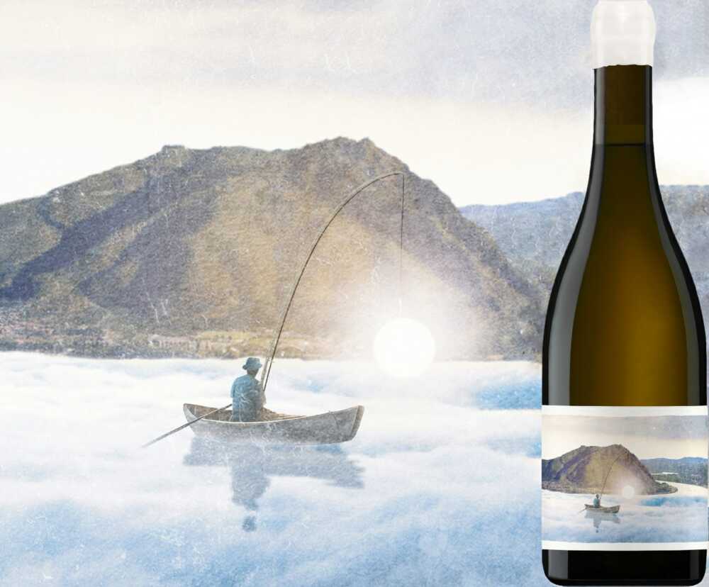 vignobles blanc