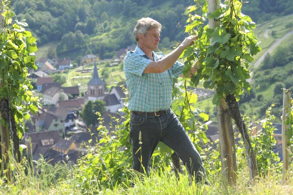 œnotouristique vigneron