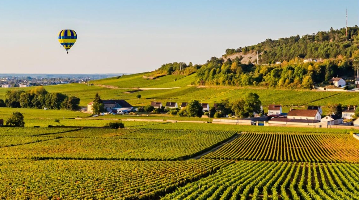 Vignobles en Scène, le rendez-vous œnotouristique en France