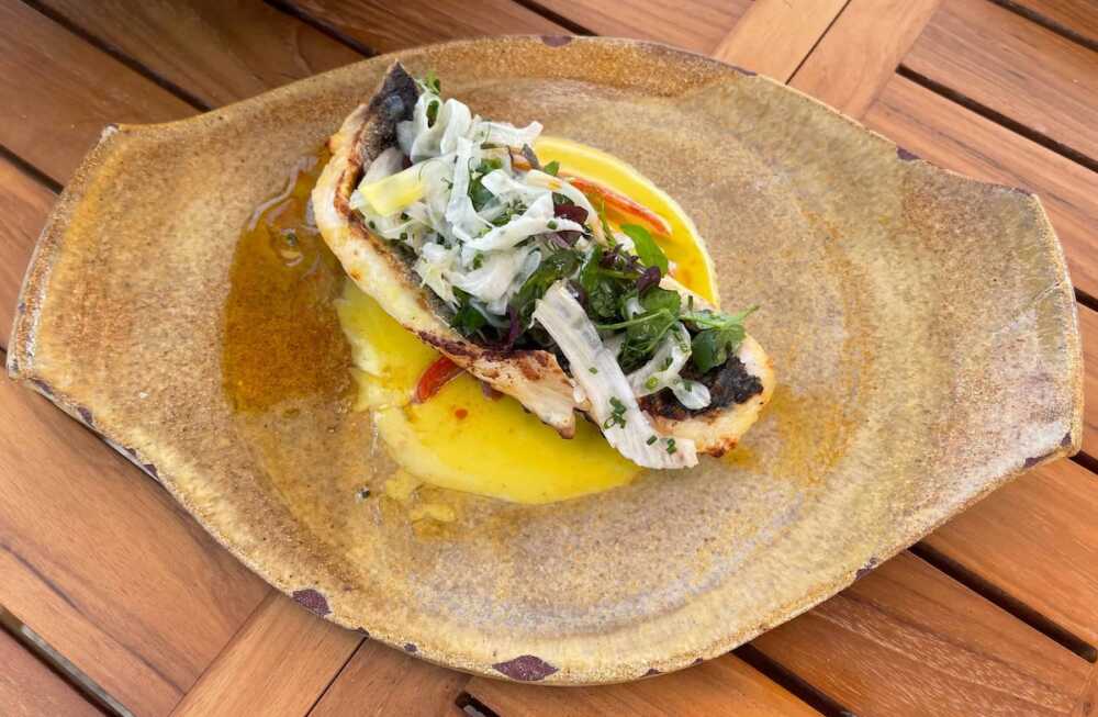 Coya Beach poisson