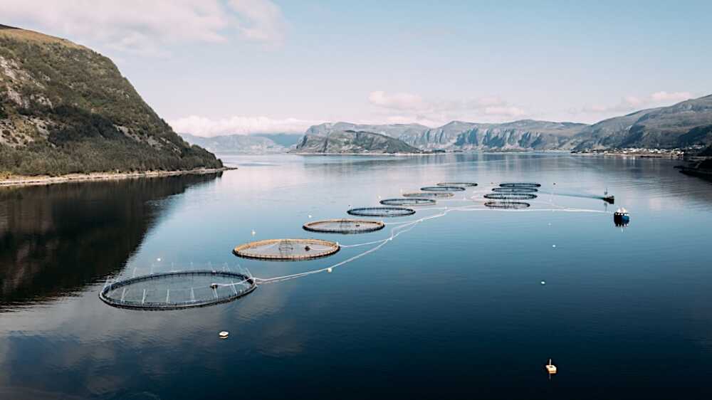 Fjord