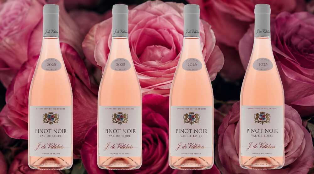 rosé Pinot Noir