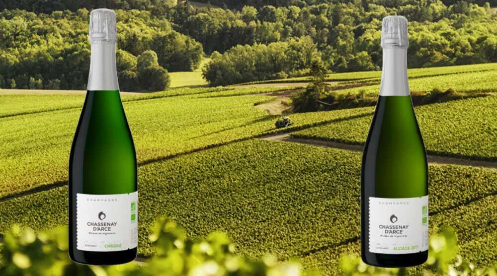 Chassenay d'Arce champagnes bio