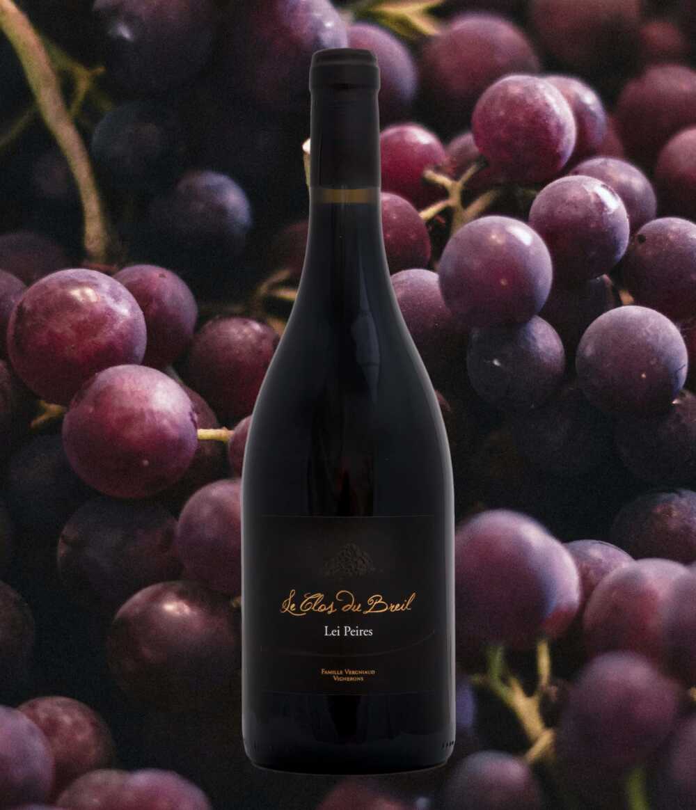 Bergerac le clos du breil
