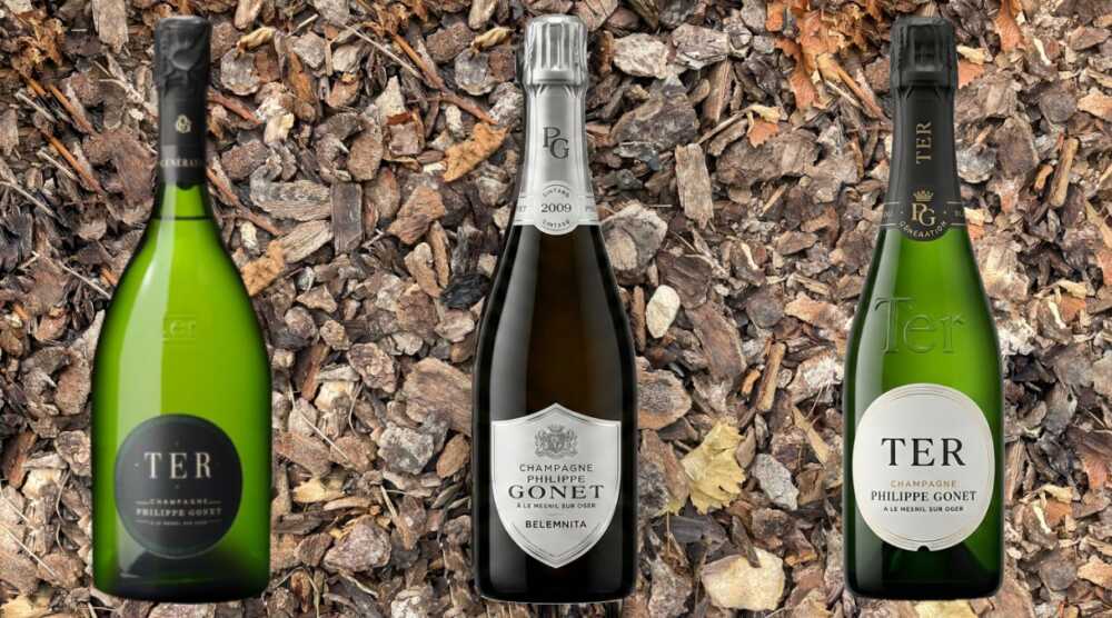 Champagne Philippe Gonet flacons