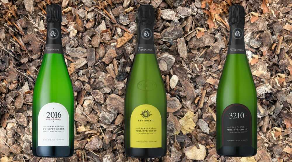 Champagne Philippe Gonet millésimes