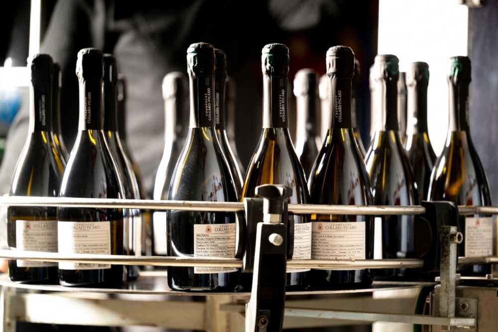 Champagnes à Table Collard-Picard