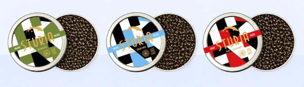 Sturia boîtes de caviar