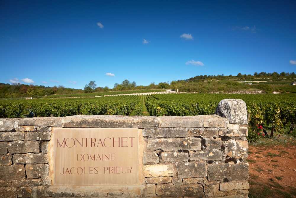 Domaine Jacques Prieur,