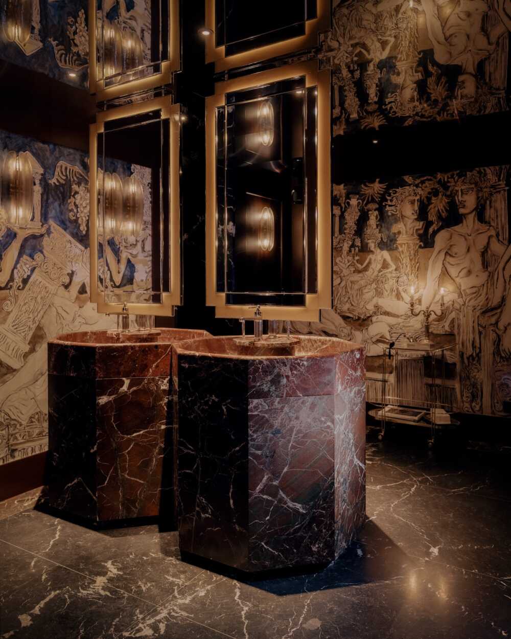 salon de toilette