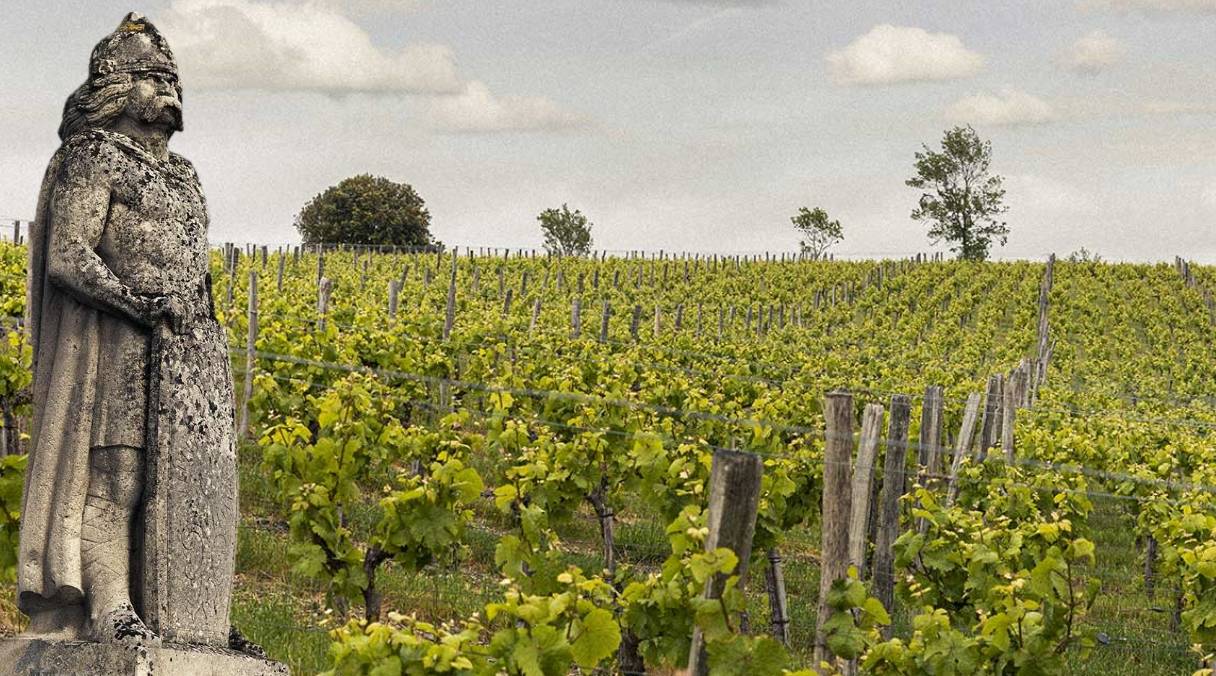 Dumnacus : 150 vignerons qui portent haut les couleurs de la Loire